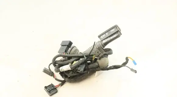 BMW X7 G07 Rear door wiring loom 8779824 071020200812