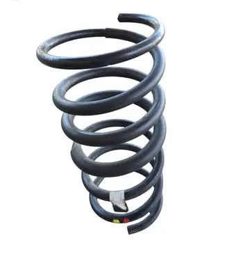 Rear coil spring