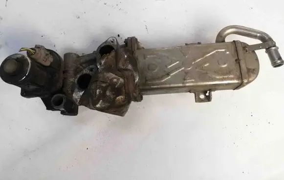 EGR valve cooler
