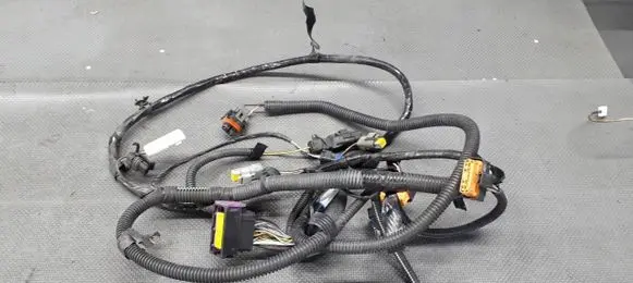 Renault Laguna II Other wiring loom