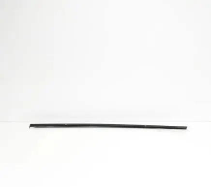 Volkswagen Phaeton Front door glass trim molding 