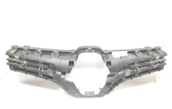 Renault Kangoo II Front grill 296564504R