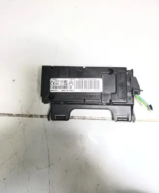 Peugeot 3008 I Tire pressure control unit 17749841 00522476