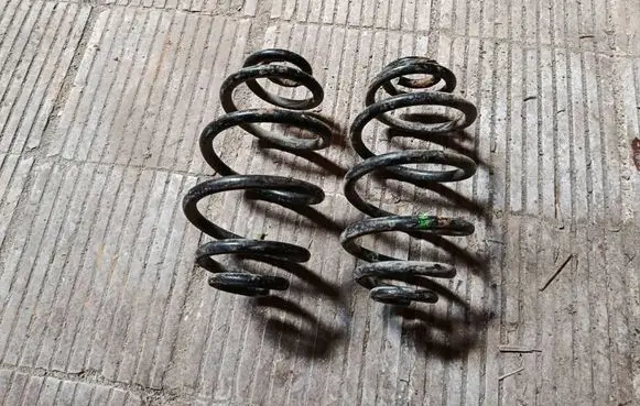 Volkswagen PASSAT B5.5 Rear coil spring