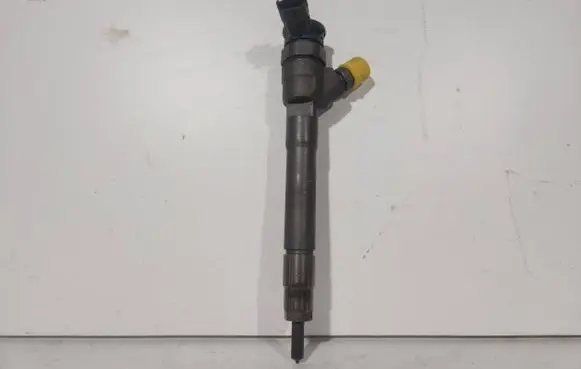 Renault Trafic III (X82) Fuel injector 0445110546