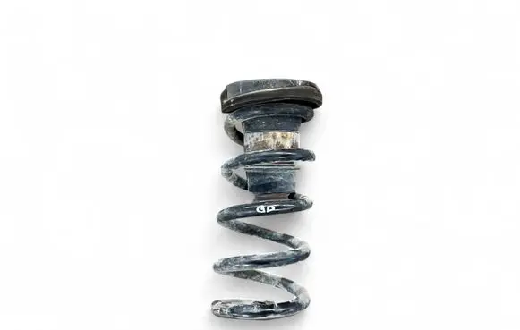 Rear coil spring