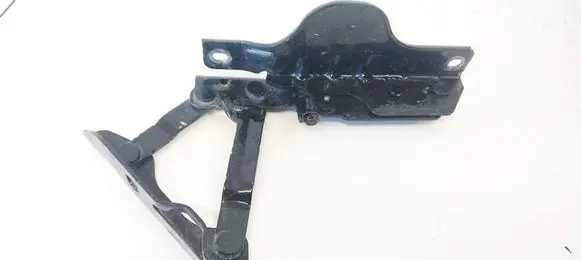 Tesla Model S Engine bonnet/hood hinges 1002928400G
