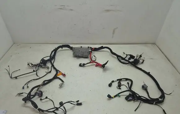Tesla Model Y Juniper Other wiring loom 149731900E