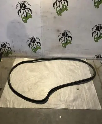 Citroen C3 Front door rubber seal 9813059580