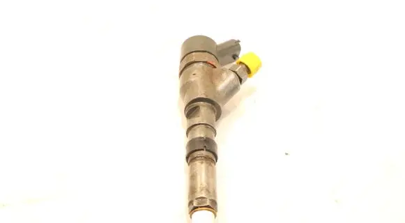 Citroen Berlingo Fuel injector 9637536080