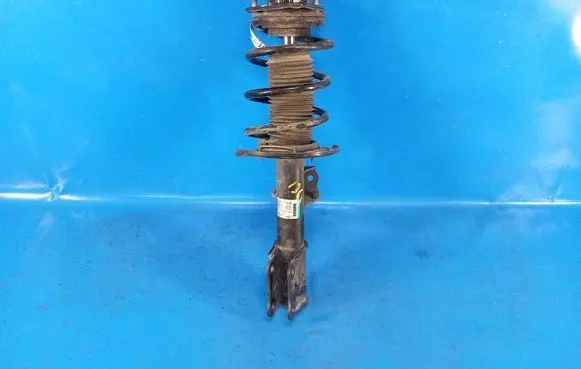 Ford Mustang VI Front shock absorber/damper JR3Z18124A