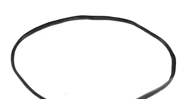 KIA EV6 Rubber seal rear door 