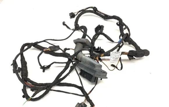 Front door wiring loom
