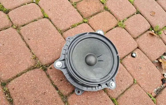 Renault Megane IV High frequency speaker in the rear doors 11TYS
