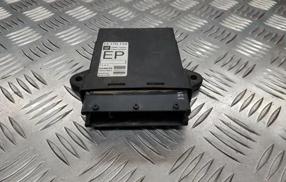 Opel Signum Door control unit/module 13170134