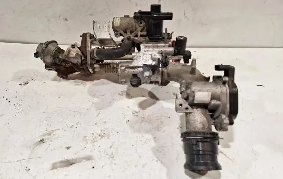 Renault Clio III EGR valve