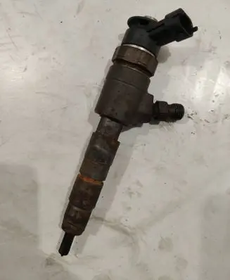 Citroen C3 Picasso Fuel injector 0445110340