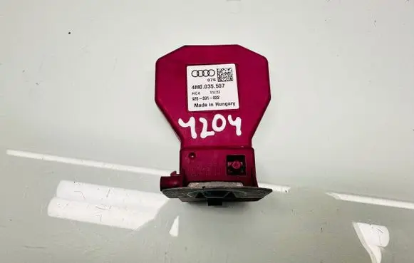 Cupra Formentor Other control units/modules 4M0035507