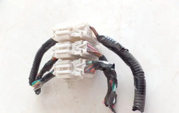 Other wiring loom