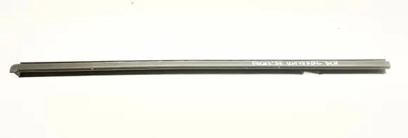 Ford Focus Rear door glass trim molding 