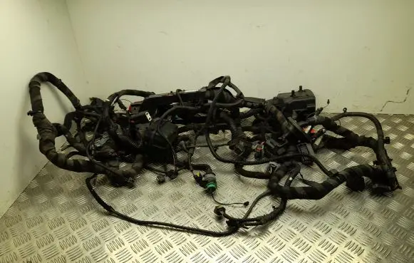 Alfa Romeo Stelvio Other wiring loom 00505585130