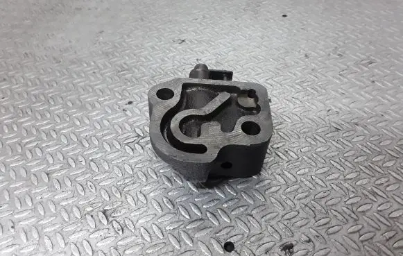 Ford Maverick Timing belt/chain tensioner 