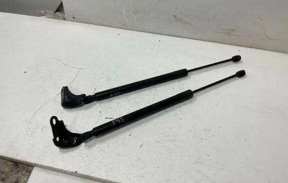 Tailgate strut