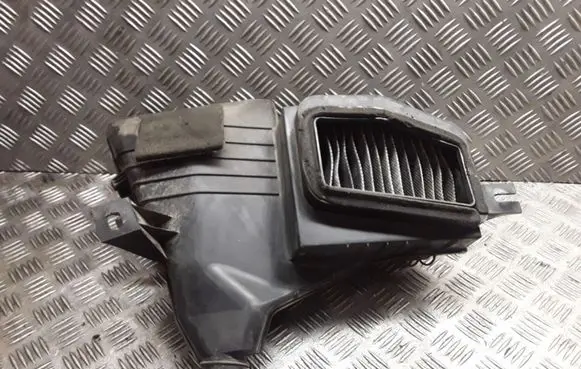 Hyundai H-1, Starex, Satellite Air filter box 974004A901