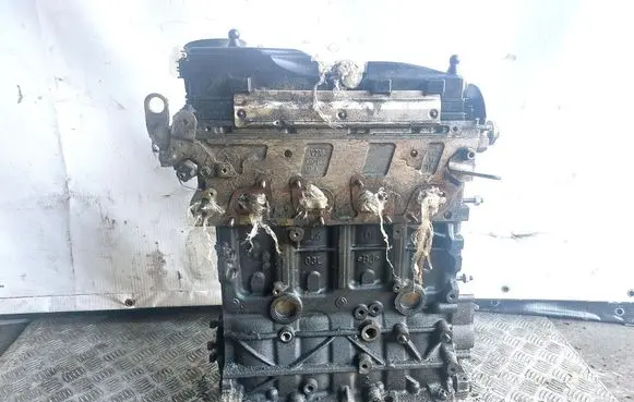 Volkswagen Golf VI Engine CAYC