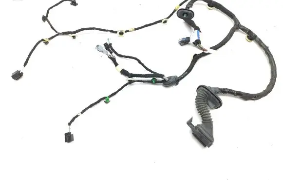 Front door wiring loom