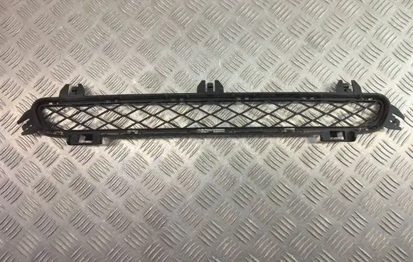 BMW X3 F25 Front bumper lower grill 7210466