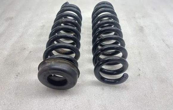 Rear coil spring