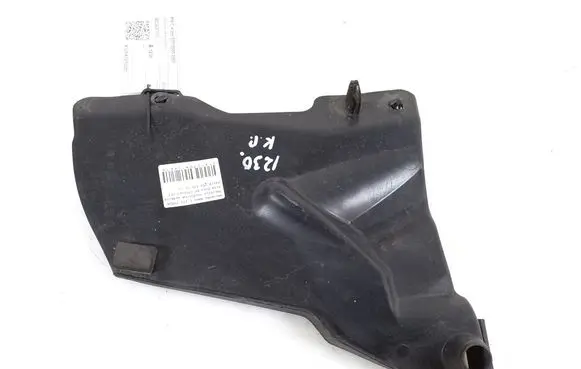 Engine bonnet/hood lock trim molding