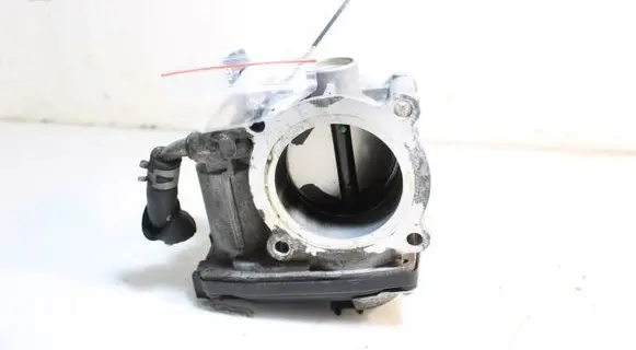 Throttle body valve
