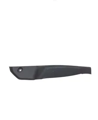 Rear/tail light trim molding