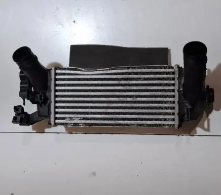 Ford Ecosport Intercooler radiator H1BG6K775AC GN1119E839AC