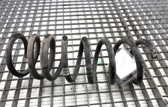 Rear coil spring