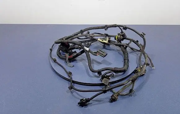 Other wiring loom