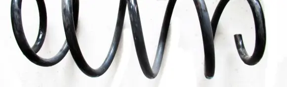 Ford Ecosport Front coil spring