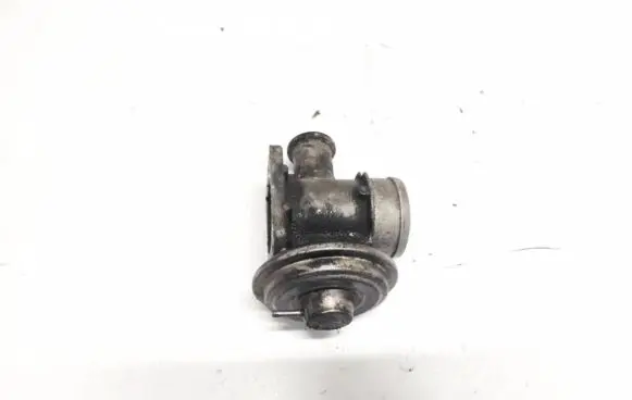 BMW 5 E39 EGR valve
