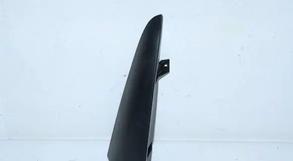 Renault Kangoo II Rear door trim (molding) 8200499014