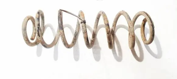Volkswagen Bora Rear coil spring