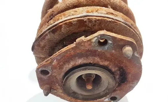 Coil spring mount