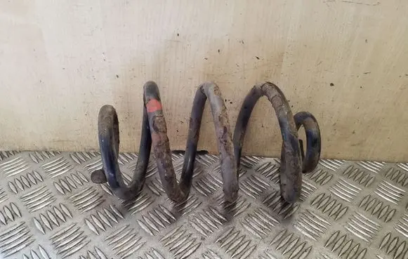 Nissan Juke I F15 Rear coil spring