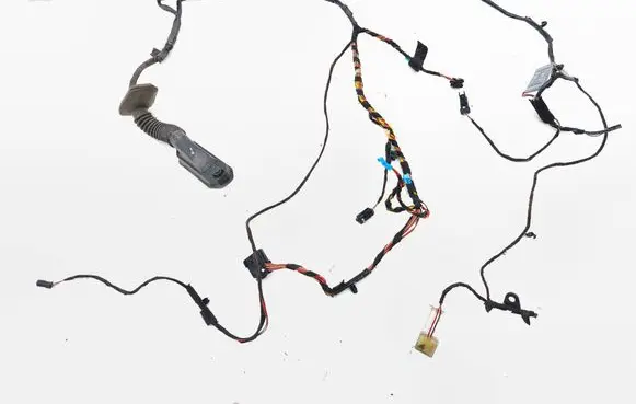 Front door wiring loom