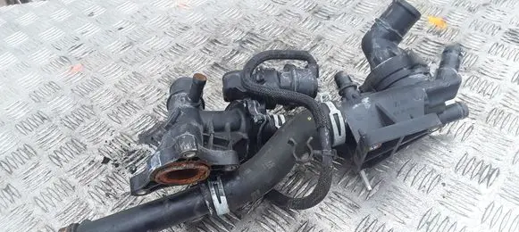 Thermostat/thermostat housing