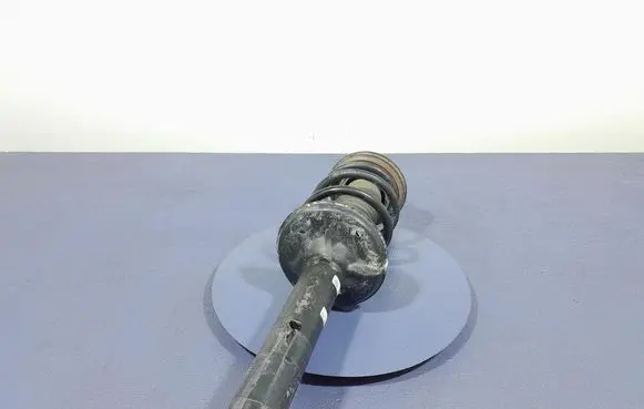 Porsche Cayman 981 Rear shock absorber/damper 982512019K