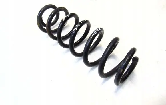 Rear coil spring