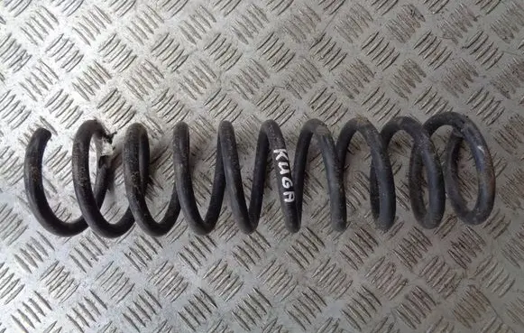 Rear coil spring