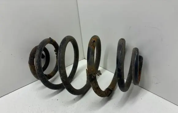 Volkswagen PASSAT B5 Rear coil spring
